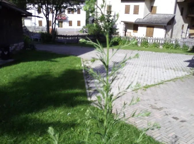 Da Carla Dolomiti * Валь-ди-Цольдо