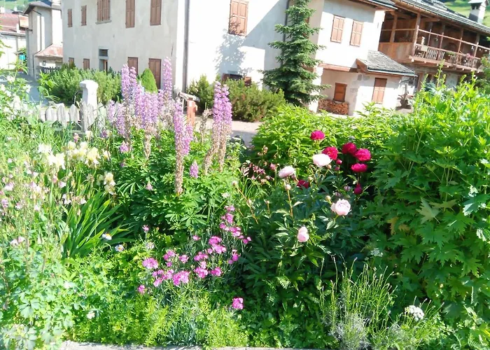 Апартаменты Da Carla Dolomiti Валь-ди-Цольдо